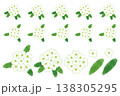 アリッサム 138305295