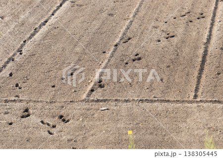 動物の足跡が残る土のテクスチャ背景 138305445