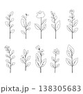 草と花のコレクション　草花の手描き風ベクターイラスト 138305683