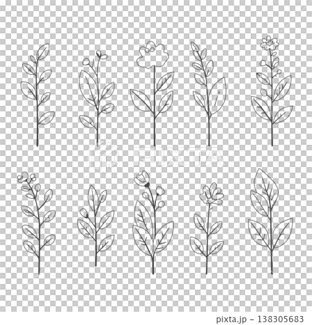 Collection of grass and flowers: Hand-drawn style vector illustrations of grass and flowers Collection of grass and flowers: Hand-drawn style vector illustrations of grass and flowers 138305683