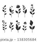 草と花のコレクション　草花の手描き風ベクターイラスト 138305684