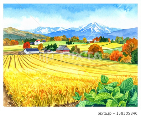 秋の収穫が終わった水田と冠雪した北大雪山の山並み 秋の収穫が終わった水田と冠雪した北大雪山の山並み 138305840