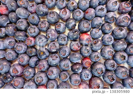 ブルーベリー  フルーツ　果実 138305980