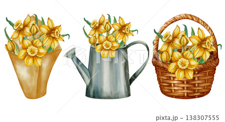 Set of watercolor illustrations of daffodil bouquets in a package, watering can, and basket. Spring floral illustration is perfect for holiday cards, birthdays, International Women's Day, Easter Set of watercolor illustrations of daffodil bouquets in a package, watering can, and basket. Spring floral illustration is perfect for holiday cards, birthdays, International Women's Day, Easter 138307555