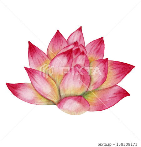 Watercolor pink lotus flower isolated on white background. Hand drawn aquatic lily bud in botanical style. Zen and yoga symbol for floral design, wedding invitations and greeting cards. Watercolor pink lotus flower isolated on white background. Hand drawn aquatic lily bud in botanical style. Zen and yoga symbol for floral design, wedding invitations and greeting cards. 138308173