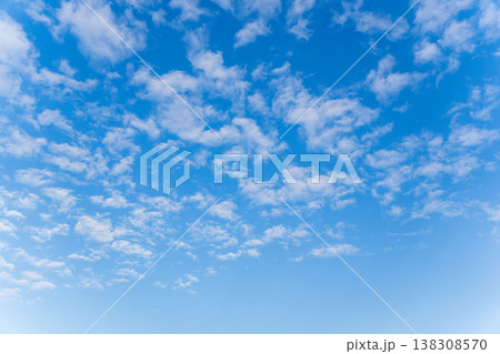 冬の朝の空にうろこ雲04 冬の朝の空にうろこ雲04 138308570