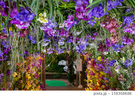 色とりどりの洋ランの花で埋め尽くされた展示物 色とりどりの洋ランの花で埋め尽くされた展示物 138308686