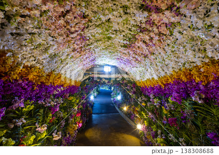 色とりどりの洋ランの花で埋め尽くされた展示物 色とりどりの洋ランの花で埋め尽くされた展示物 138308688