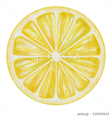 Watercolor illustration of a yellow lemon. Hand-drawn citrus fruit, segments, slices, and halves for organic food packaging, healthy recipes, and kitchen decor. 138309203