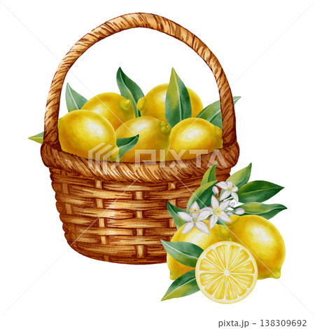Watercolor illustration of a wicker basket filled with fresh lemons and green leaves. Vibrant citrus elements for food design, packaging, home decor, and markets. 138309692