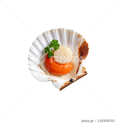 Grilled scallops on a white background. Grilled scallops on a white background. 138309701