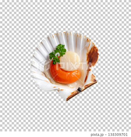 Grilled scallops on a white background. Grilled scallops on a white background. 138309701
