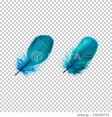 Light blue and white feathers are placed on a white background. Light blue and white feathers are placed on a white background. 138309735
