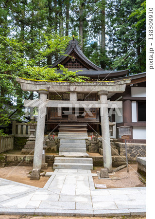 Sakurayama Hachimangu Shrine buildings surrounded by tall trees in Takayama, Japan Sakurayama Hachimangu Shrine buildings surrounded by tall trees in Takayama, Japan 138309910