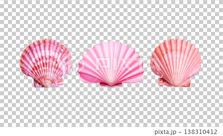 A single spiral conch shell separated from a white background. 138310412