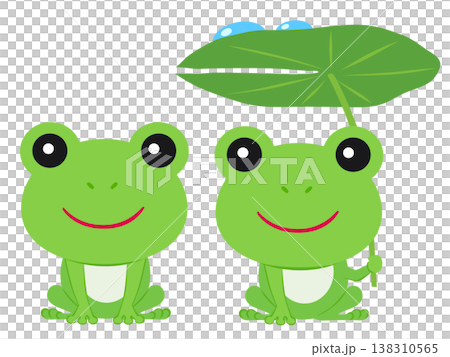 カエルと蓮の葉 138310565