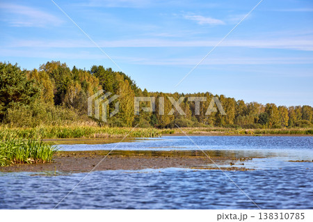 Serene Riverbank Scene with Lush Greenery 138310785