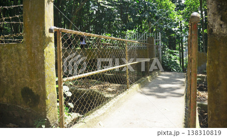 The old bridge in the park with a metal fence at sunny day The old bridge in the park with a metal fence at sunny day 138310819