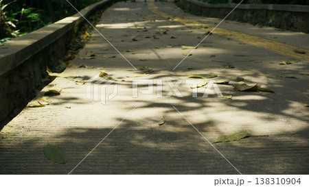 Fallen leaves on the concrete bridge in the park, Indonesia. Fallen leaves on the concrete bridge in the park, Indonesia. 138310904