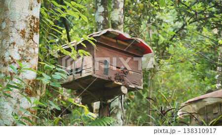 Old wooden beehive on the edge of the forest. Beekeeping. Wooden beehive and bees. Old wooden beehive on the edge of the forest. Beekeeping. Wooden beehive and bees. 138310917