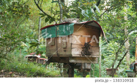 Old wooden beehive on the edge of the forest. Beekeeping. Wooden beehive and bees. Old wooden beehive on the edge of the forest. Beekeeping. Wooden beehive and bees. 138310918