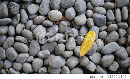 pebble stones texture pattern with yellow leaf on the ground in the garden. 138311143