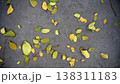 Yellow leaves on the cement floor in the garden. Nature autumn background. 138311183