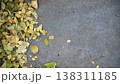 Dry leaves on cement floor, top view, copy space. 138311185