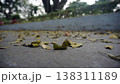 Fallen leaves on the cement floor in the park. 138311189