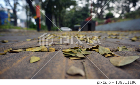 Fallen leaves on the floor in the park. Autumn background. Selective focus. 138311190