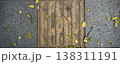 Fallen leaves on the paving floor in the garden. Autumn concept. 138311191
