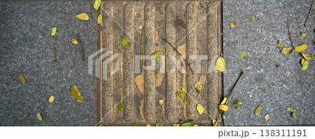 Fallen leaves on the paving floor in the garden. Autumn concept. 138311191