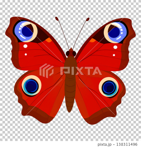 An illustration of a beautiful long-tailed butterfly on a white background. An illustration of a beautiful long-tailed butterfly on a white background. 138311496