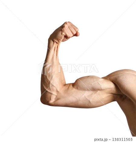 Strong arm muscles against a white background. Strong arm muscles against a white background. 138311503