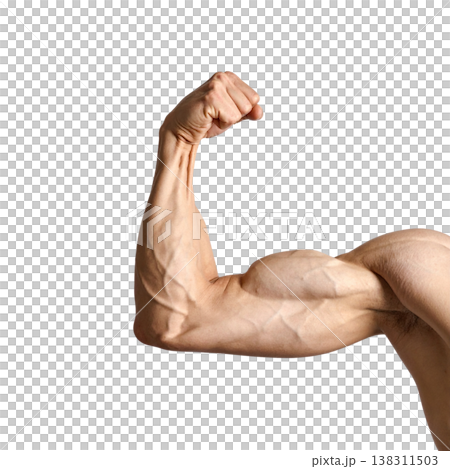 Strong arm muscles against a white background. Strong arm muscles against a white background. 138311503