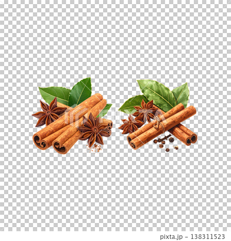The fragrant star anise and cinnamon create a brown spice embellishment on a white background. 138311523
