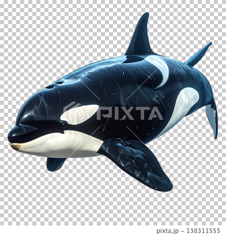 The cartoon illustration shows a whale swimming underwater against a white background. 138311555