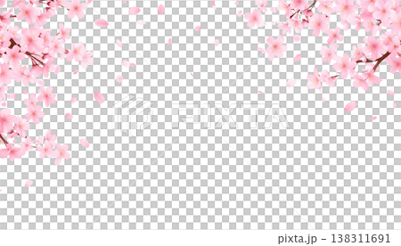 Illustration of pink cherry blossom petals in full bloom. Illustration of pink cherry blossom petals in full bloom. 138311691