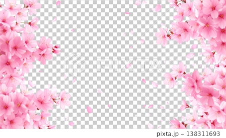 Illustration of pink cherry blossom petals in full bloom. 138311693