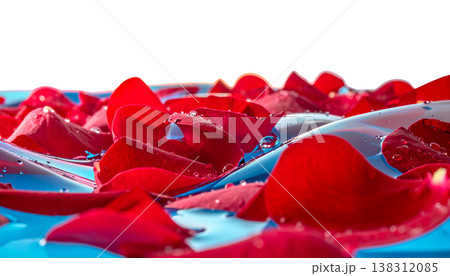 red rose petals 138312085