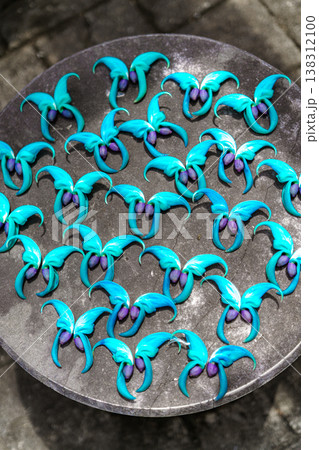 ヒスイカズラ 138312100