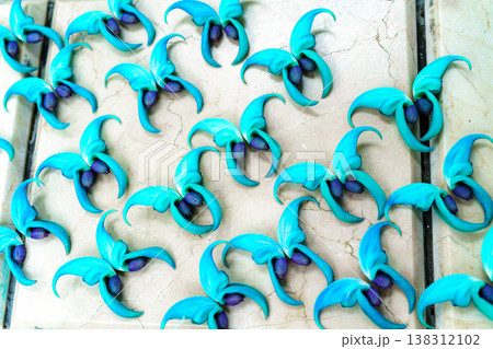 ヒスイカズラ ヒスイカズラ 138312102