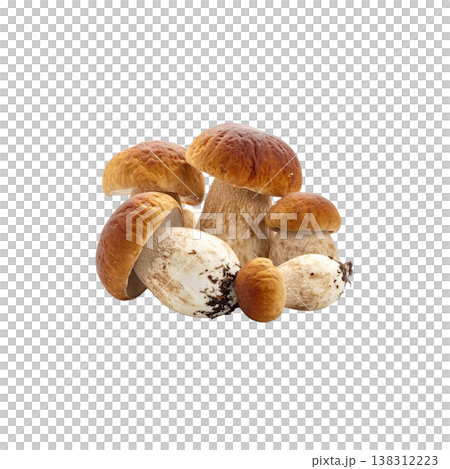 Mushrooms on a white background. Mushrooms on a white background. 138312223
