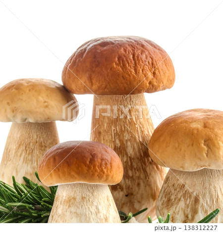 Mushrooms on a white background. 138312227