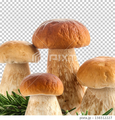 Mushrooms on a white background. 138312227