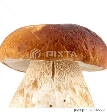 Mushrooms on a white background. 138312229