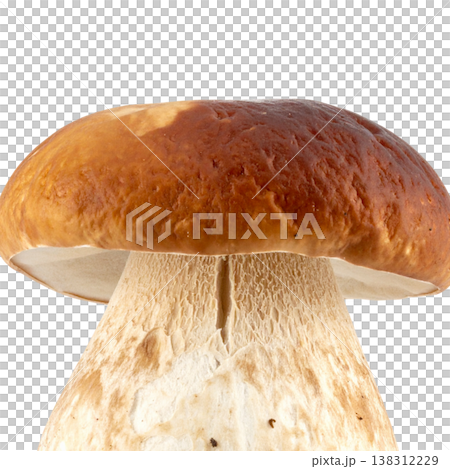 Mushrooms on a white background. Mushrooms on a white background. 138312229
