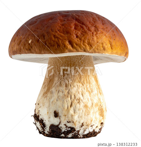 Mushrooms on a white background. Mushrooms on a white background. 138312233