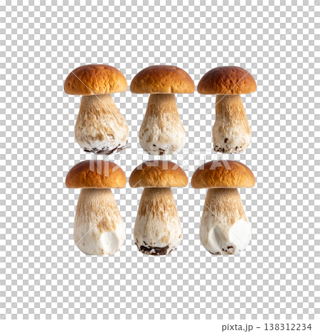 Mushrooms on a white background. Mushrooms on a white background. 138312234