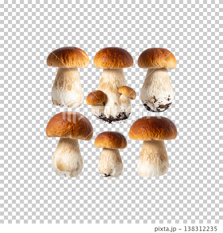 Mushrooms on a white background. Mushrooms on a white background. 138312235